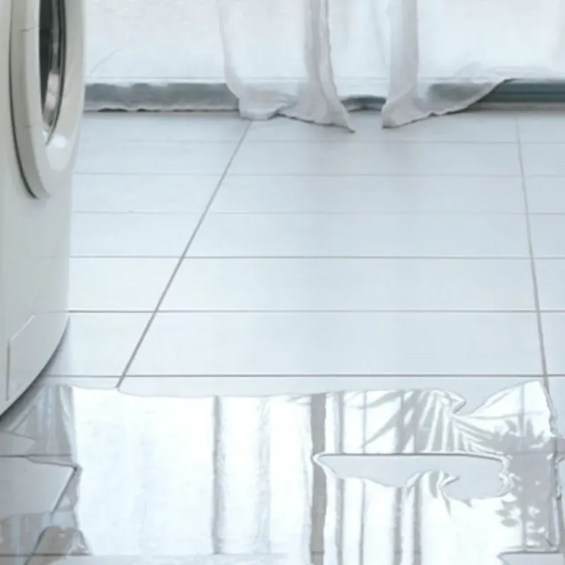 Appliance Leak Cleanup in Page County, VA