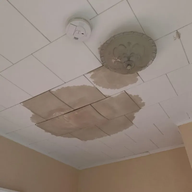 Ceiling Water Damage Repair in Page County, VA