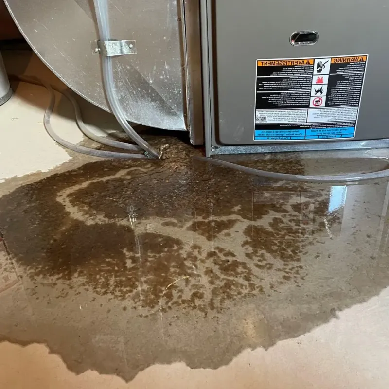 Pipe Burst and Leak Restoration in Page County, VA